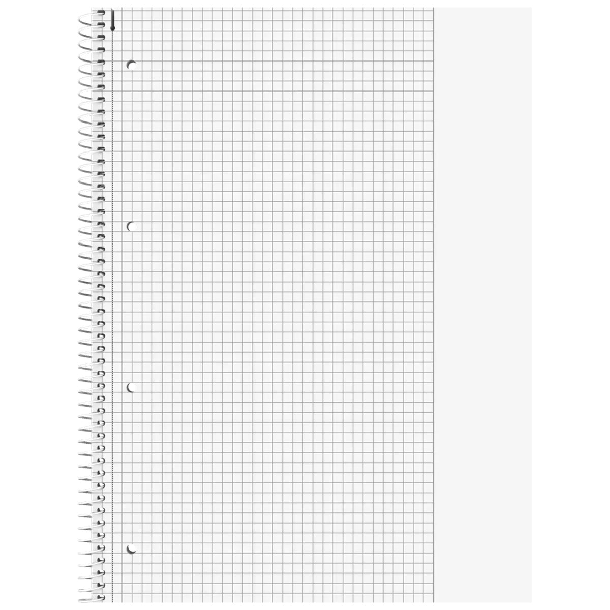 BRUNNEN Collegeblock A4 Duo · Lin. 25 / 26 · kariert & liniert