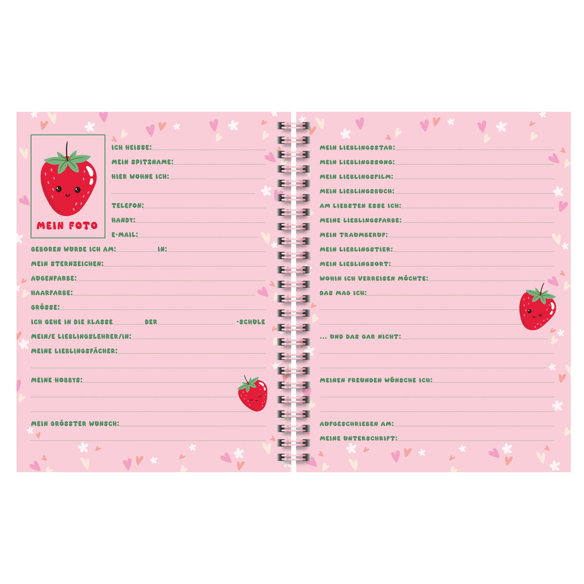 BRUNNEN Freundebuch · Fruity Love · für Mädchen