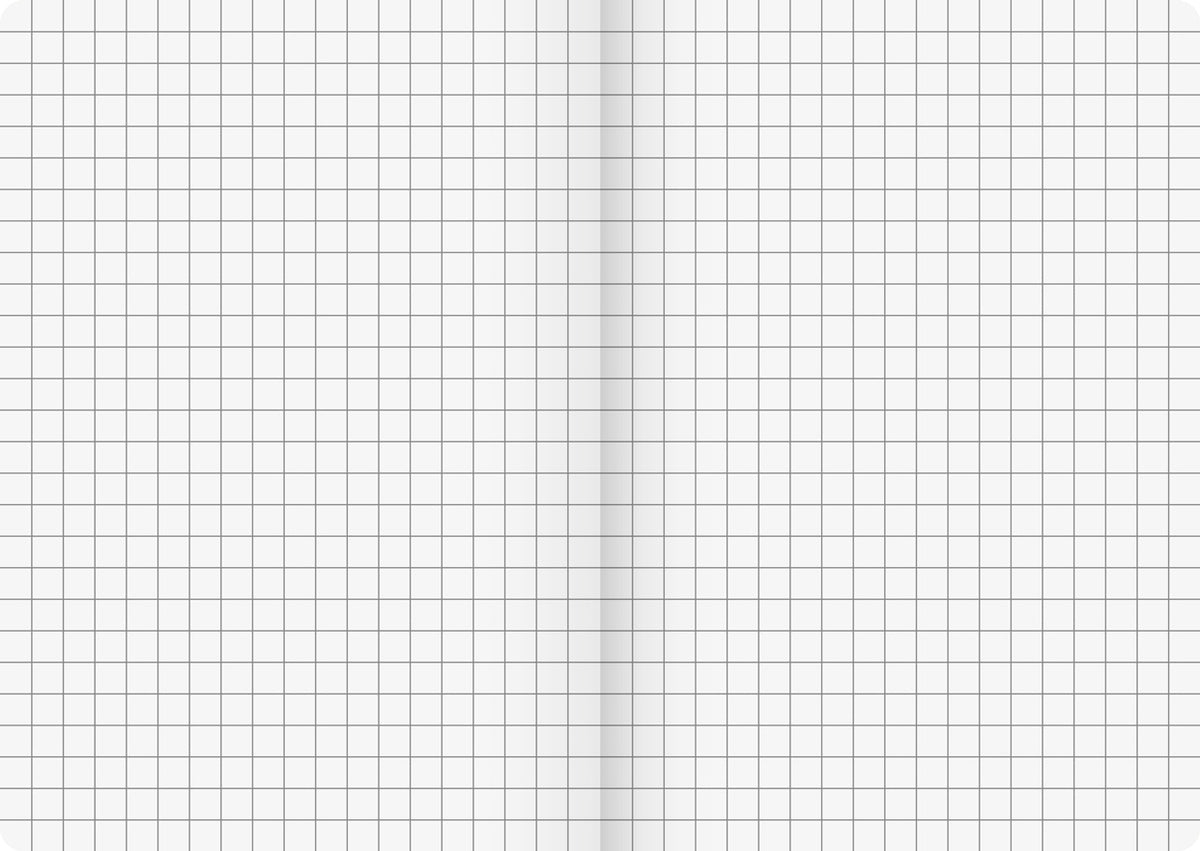 Brunnen-Kladde-FACT-plus-kariert-A5-lineatur-104357295-lafueliki