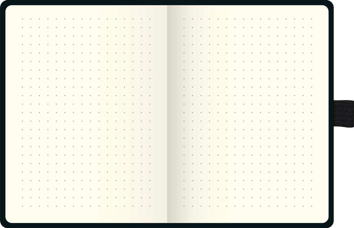 Brunnen-Notizbuch-A5-Kompagnon-Metallic-dotted-ansicht-innen-lafueliki