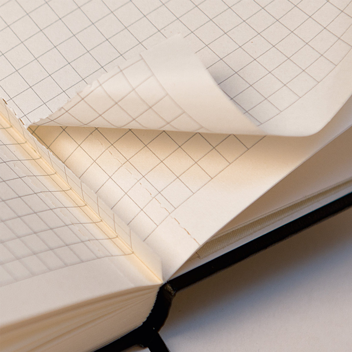 Brunnen-Notizbuch-A6-Kompagnon-Metallic-dotted-ansicht-seiten-lafueliki