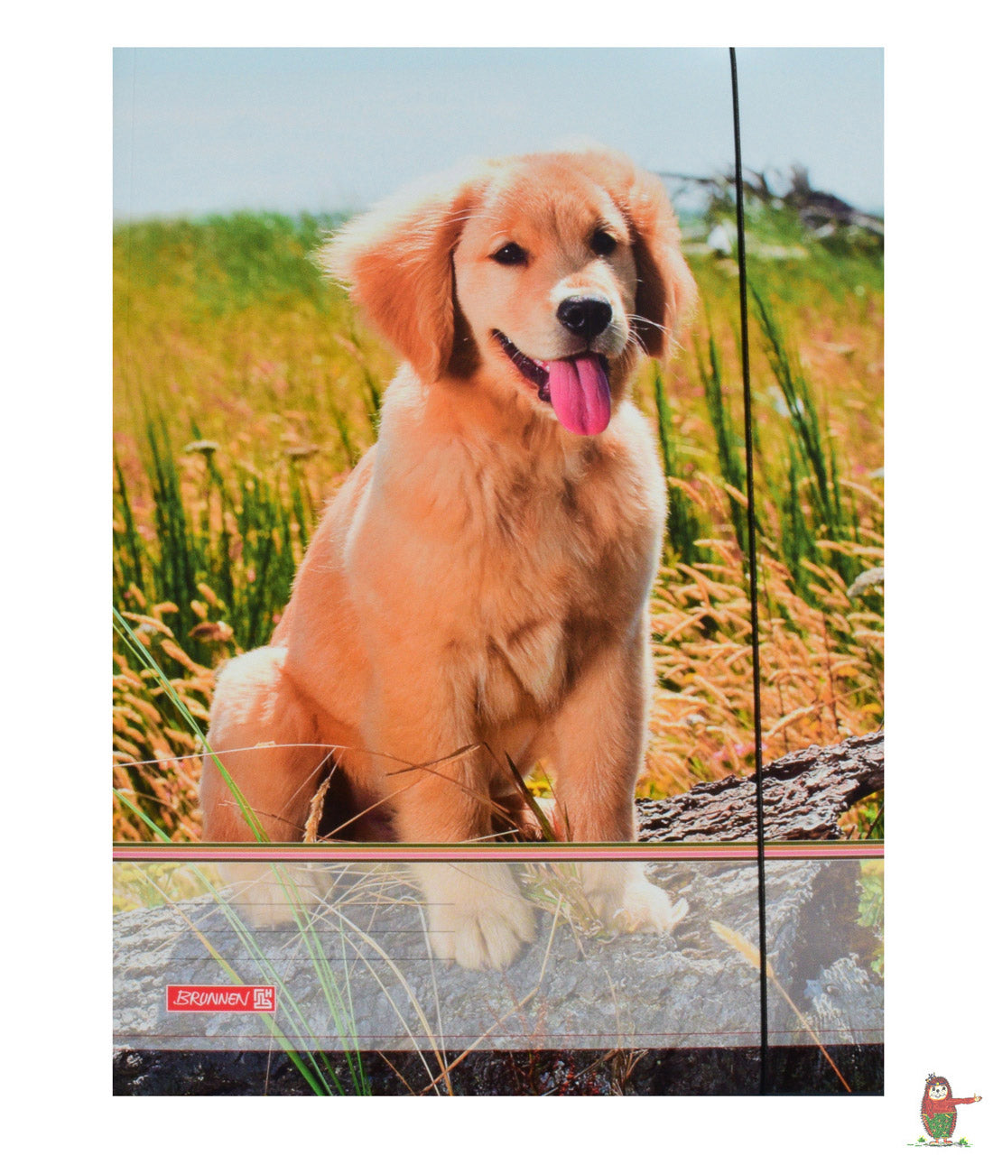 Brunnen-Sammelmappe-A4-motiv-hund-welpe-lafueliki