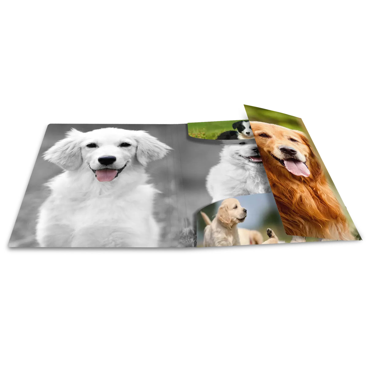 HERMA Sammelmappe A3 · Kunststoff · Hunde