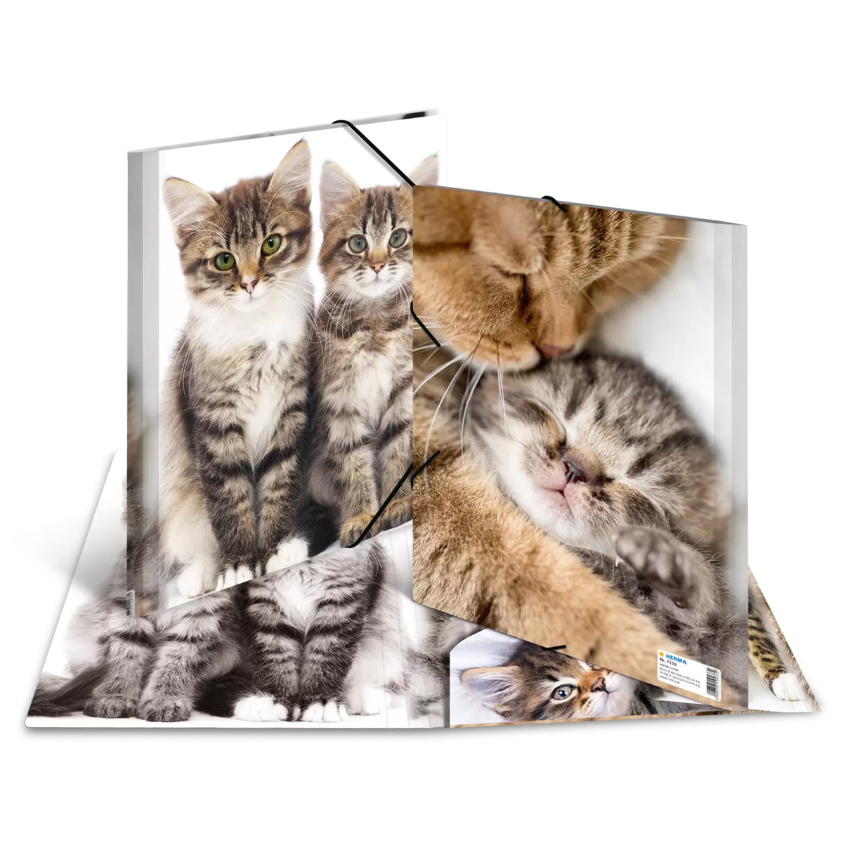 HERMA Sammelmappe A3 · Kunststoff · Katzen