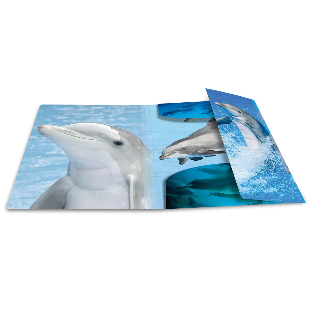 HERMA Sammelmappe A4 · PP · Delfine
