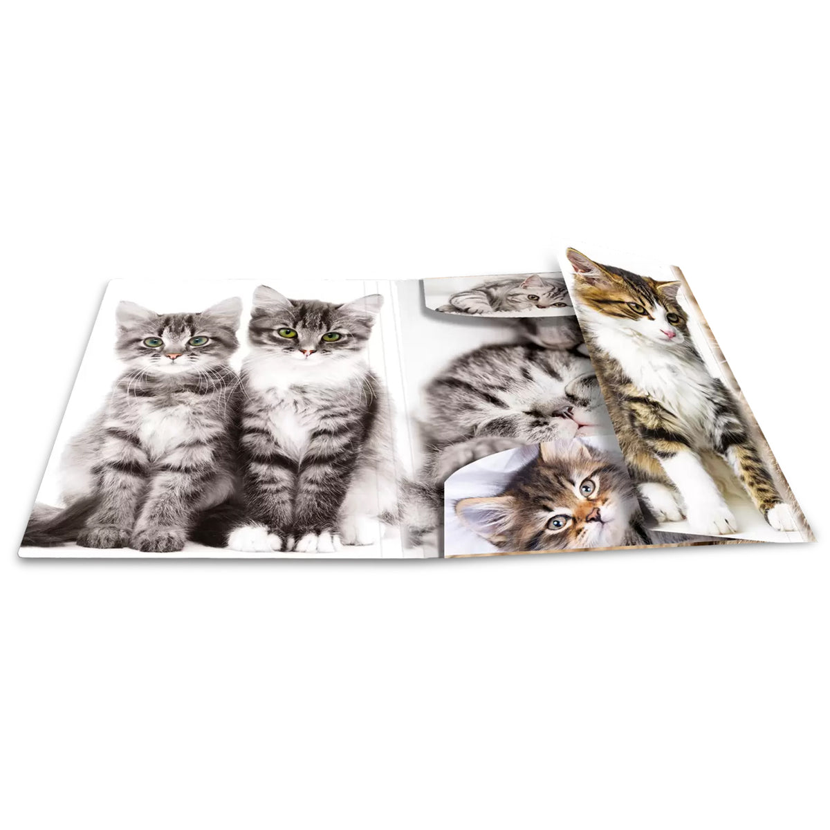 HERMA Sammelmappe A4 · PP · Katzen