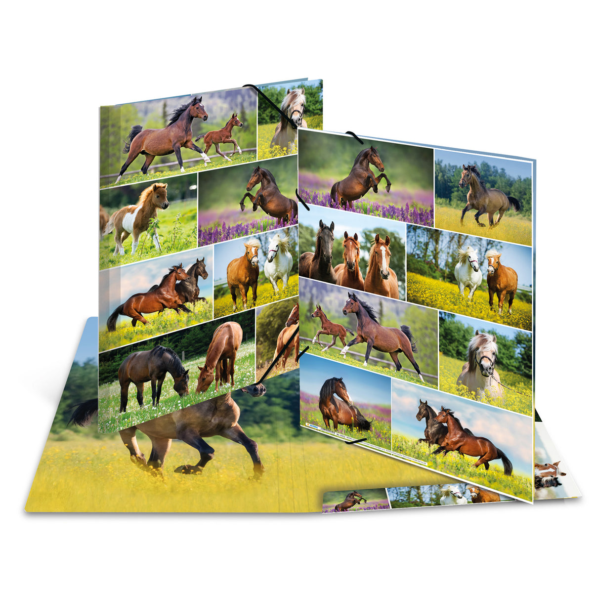 Herma-Sammelmappe-A4-Pappe-Pferd-ansicht-19342-lafueliki