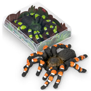 Trendhaus-Radierer-Vogelspinne-spinne-959577-ZOO-lafueliki
