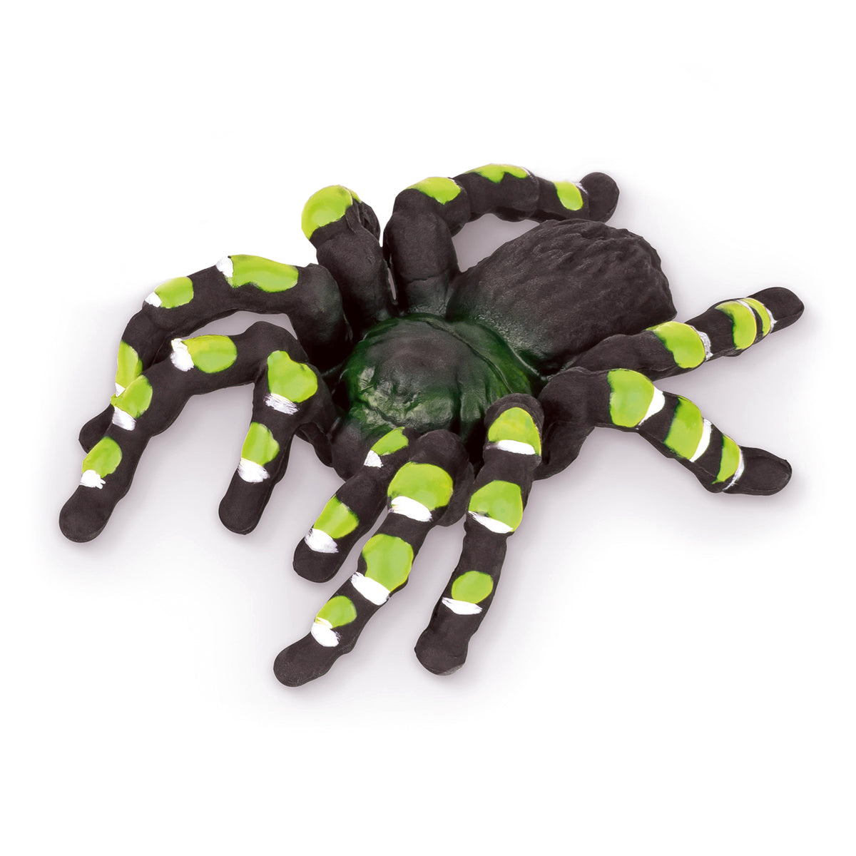 Trendhaus-Radierer-Vogelspinne-spinne-gruen-959577-ZOO-lafueliki