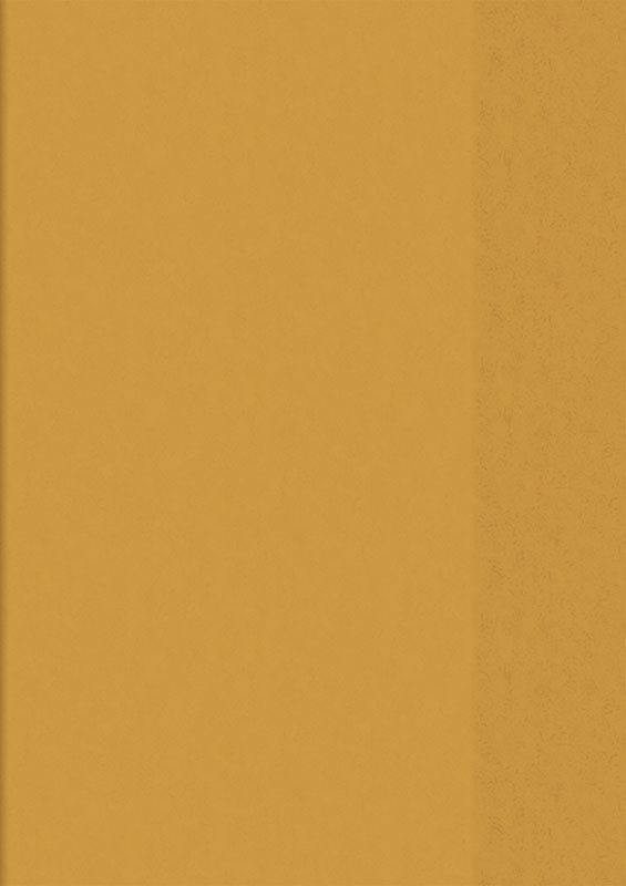heftumschlag-a5-orange-104050540